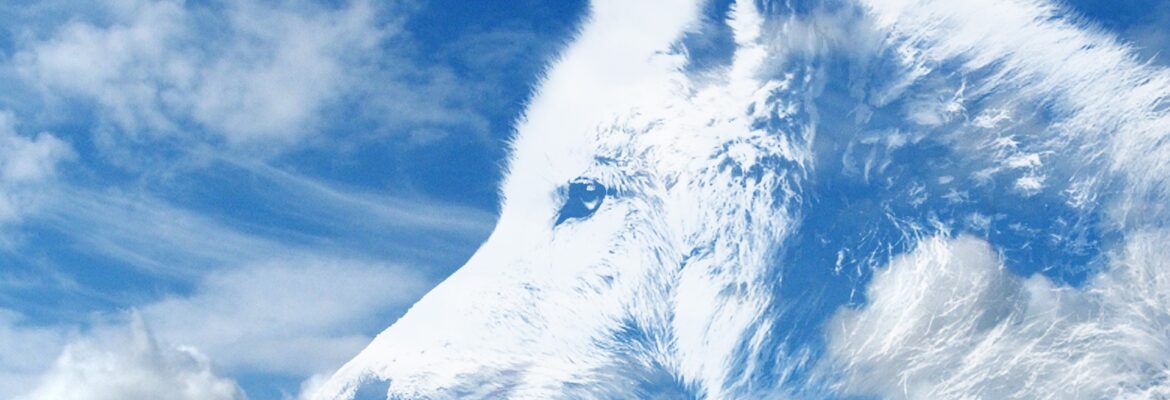 Wolf vor Wolken