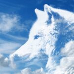Wolf vor Wolken