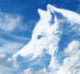 Wolf vor Wolken